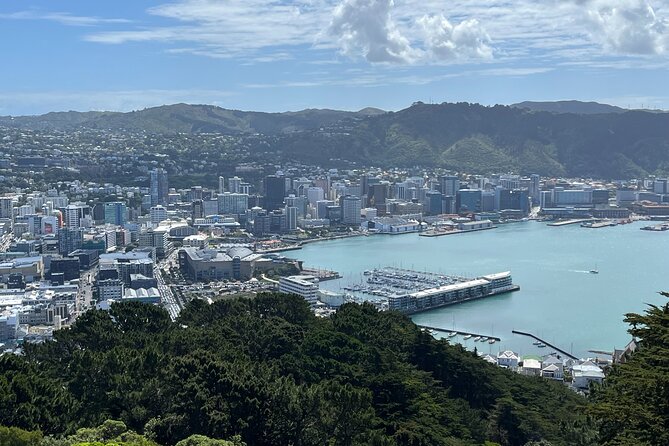 Wellington Private Tandem Tesla Tour - Pricing Details