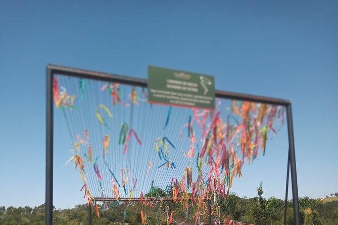 Wine Tour in São Roque by Car - Tour With Local Guides - Meeting Points