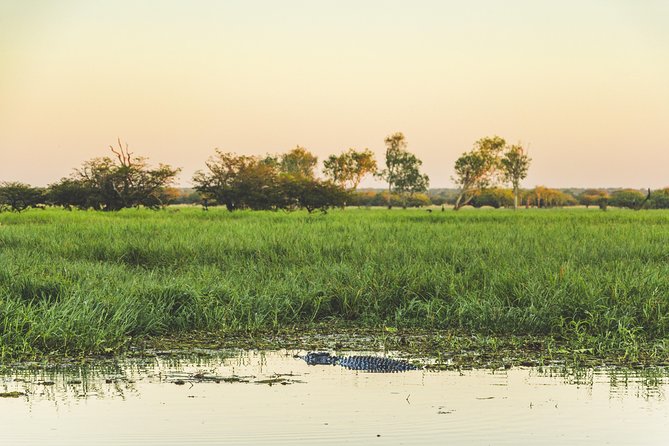 Yellow Water Cruise - Kakadu - Experience the Billabong