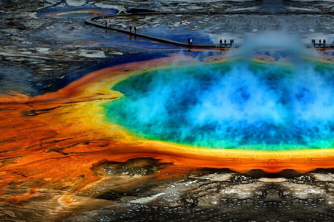 Yellowstone National Park Tour From Jackson Hole - Wildlife Viewing Opportunities