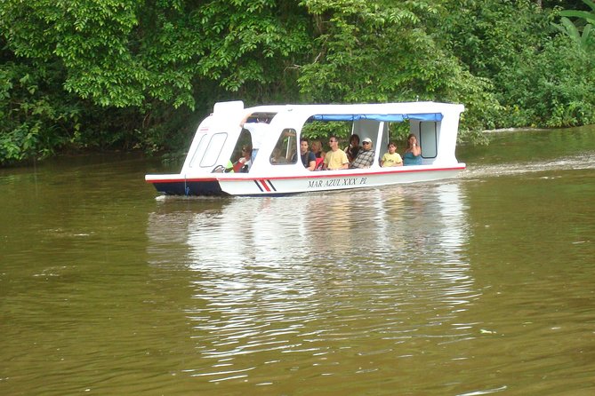 Zipline Canopy Tour & Tortuguero Canal Boat Tour. Shore Excursion From Limon - Zipline Canopy Adventure