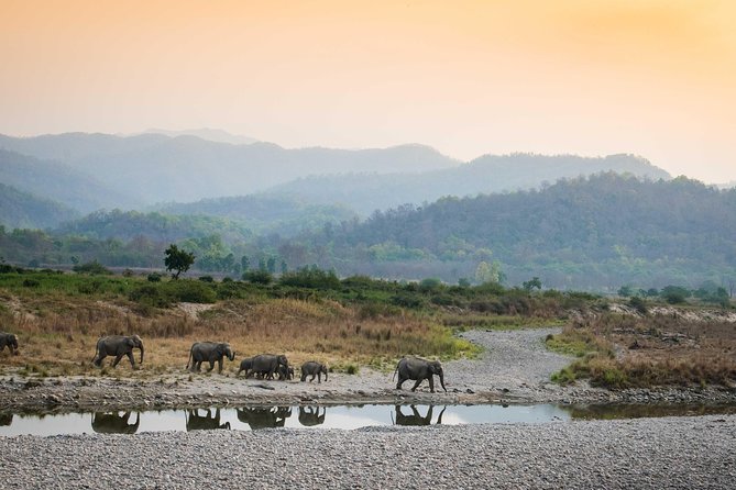 2N Jim Corbett National Park (Dhikala Zone) - Key Points