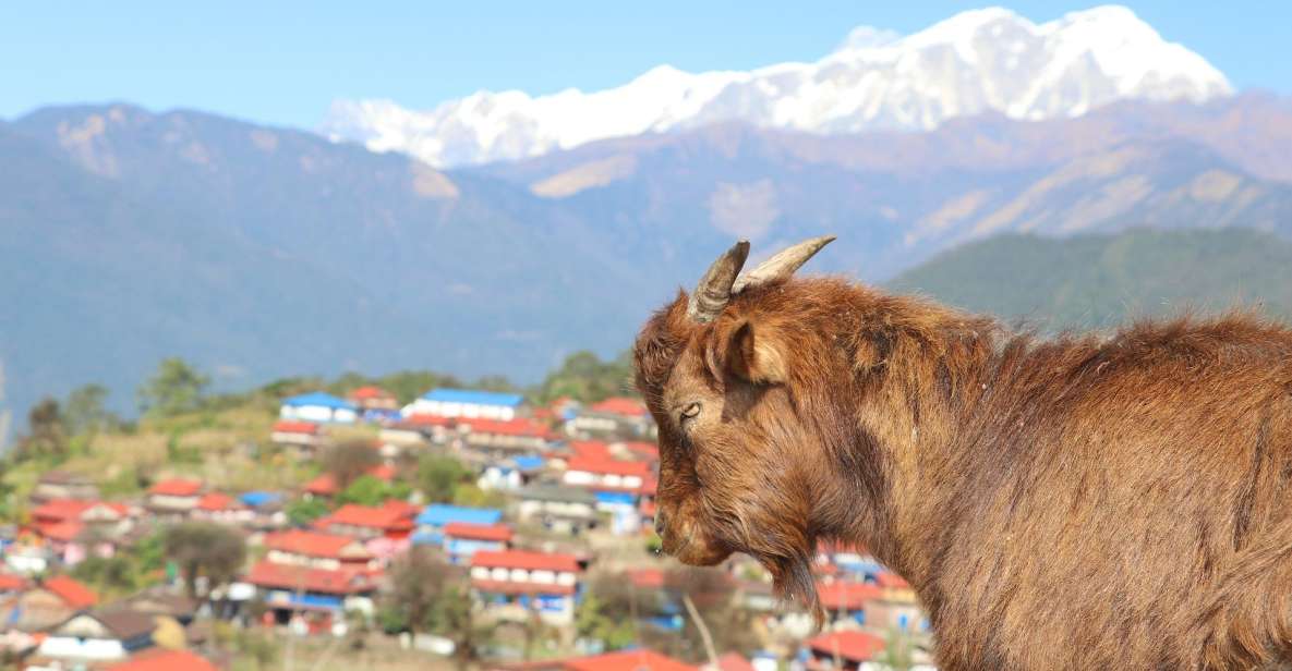 3-Day Ghale Gaun Homestay Experience From Kathmandu - Key Points