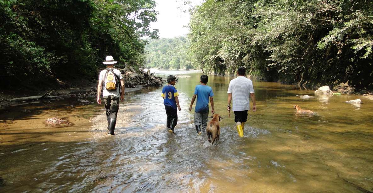 3 Day Jungle Tour Expedition Amazonia Ecuador All Included - Key Points