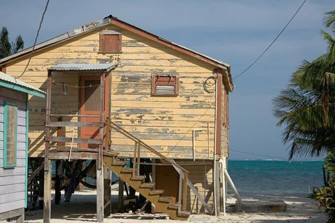 3 Hours Barrier Reef Tour in Caye Caulker, Belize - Key Points