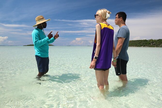 3 Hours Guided Great Exuma ATV Tour - What to Expect