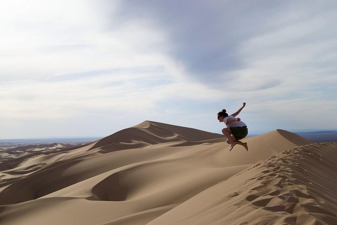 1 Day Semi-Gobi Tour With Lunch and Enjoying Camel or Horseback - Tour Experience Highlights