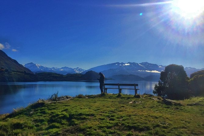 1-Hour Ruby Island Cruise and Walk From Wanaka - Whats Included in the Tour