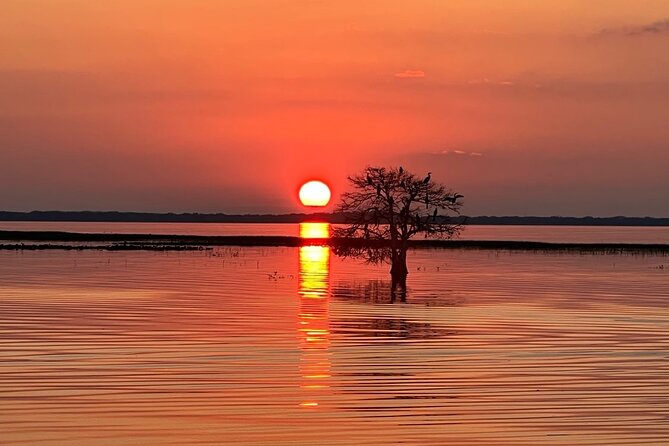 1-Hour Sunset Airboat Ride Near Orlando - Tour Logistics and Details