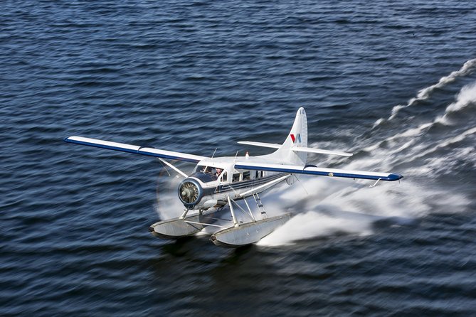 15-Minute Crater Lakes Flight by Floatplane From Rotorua - Customer Reviews and Feedback