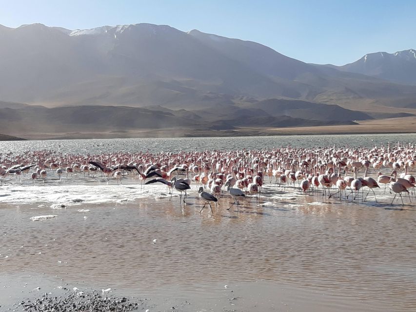 2-Days Salt Flats Private Roundtrip From Uyuni in Rains - Accessibility Features