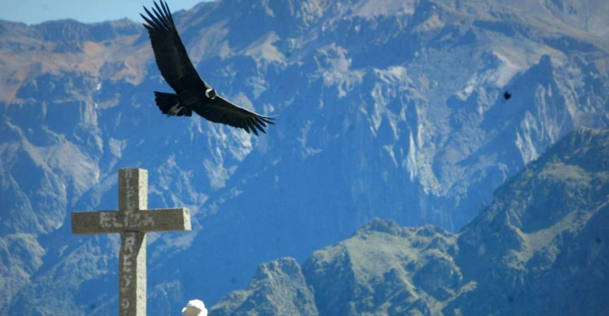 2 Days Trekking to the Colca Valley and the Condors Cross - Day 1 Highlights