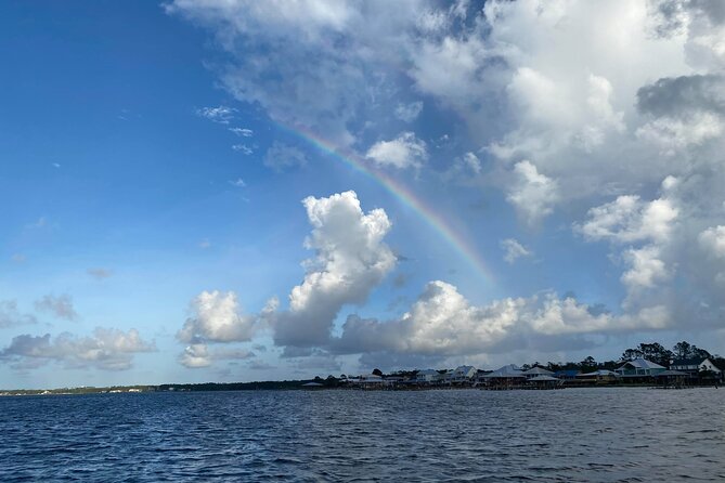 2-Hour Dolphin and Nature Eco Tour From Orange Beach - Tour Capacity and Accessibility