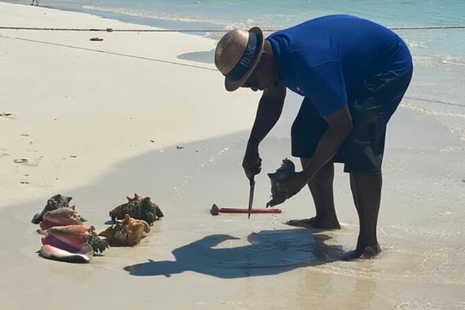 3HR Seaside Scavenger Hunt ( Hunt for Conch and Make Ceviche) - What to Bring