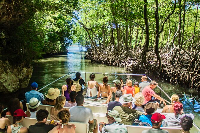 3in1: Los Haitises National Park + Yanigua Waterfall + Round Mountain - Health and Safety Guidelines