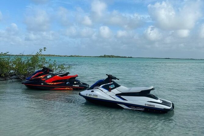 4-Hour Guided Jet Ski Tour to Secret Beach, San Pedro, Belize. - Pricing Information