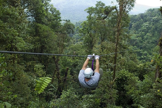 8-Days Costa Rica: Volcano, Tropical Jungles and Cloud Forests - Guest Reviews and Ratings