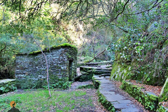 A Tour Between Cascades and Schist Villages, Piodão - Accessibility Information