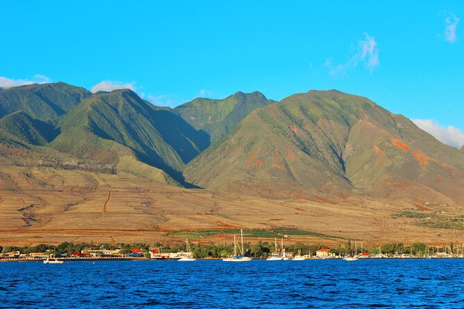 Adventure Sail From Lahaina Harbor - Safety Measures and Accessibility