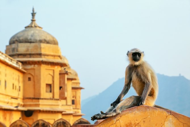 Adventurous & Classical India Curated Journey: South & Golden Triangle - Accommodation Options