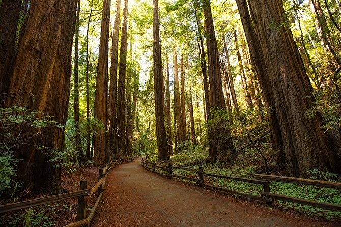 Alcatraz Muir Woods Express With Golden Gate Bridge Visit - Transportation Options