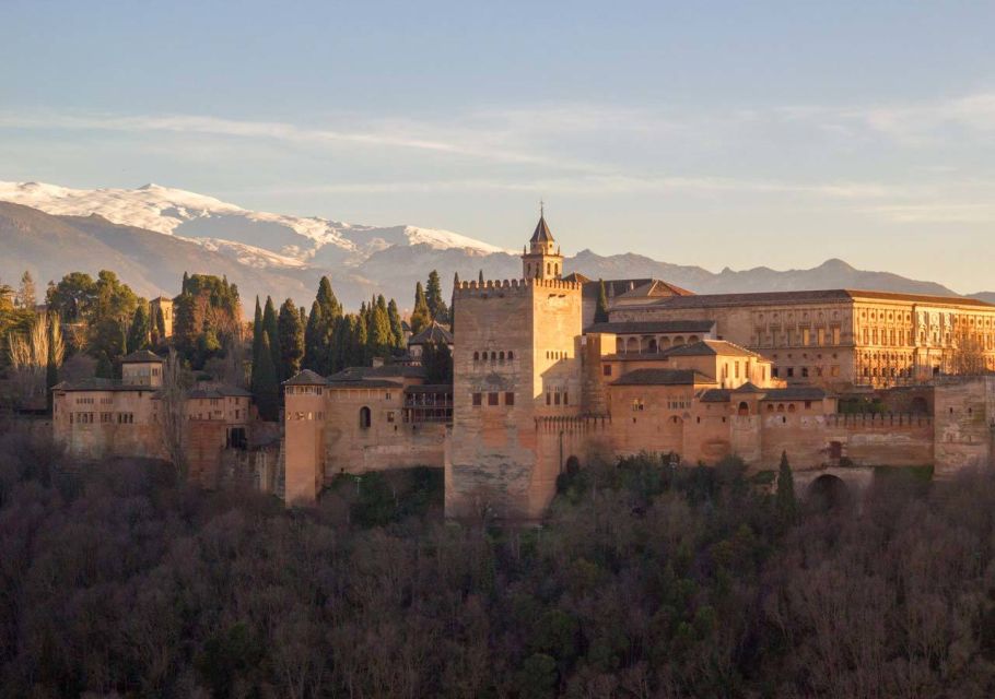 Alhambra & Generalife: Exclusive 3 Hour Private Tour - History of the Nasrid Palaces