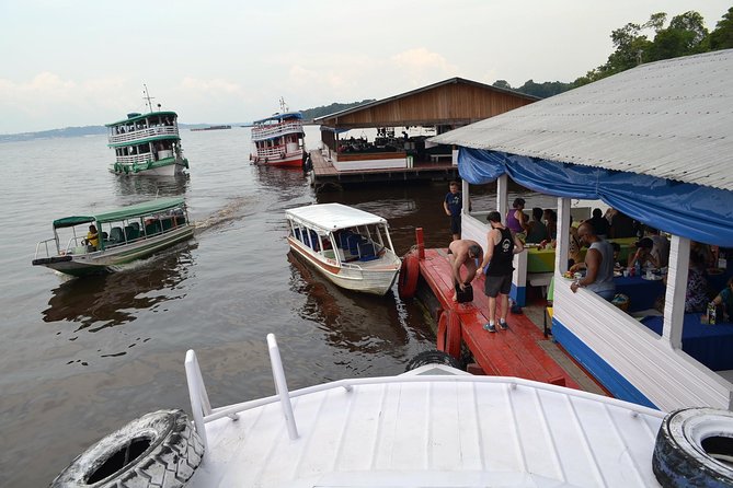 Amazon Negro River Half-Day Expedition Tour - Wildlife Encounters