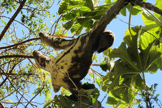 Amboro National Park Overnight Tour From Santa Cruz - Itinerary Breakdown