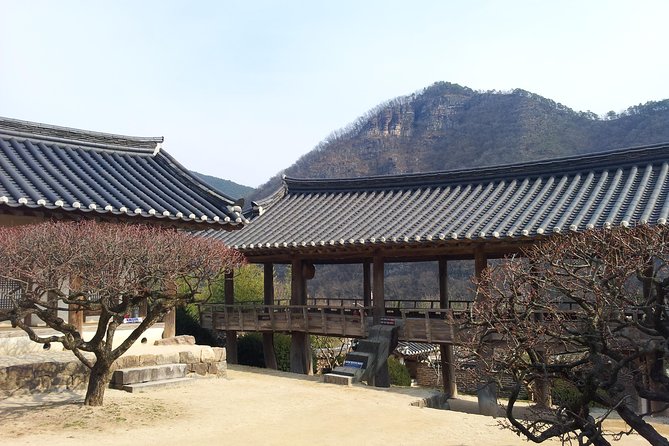 Andong Hahoe Village [Unesco Site] Premium Private Tour From Seoul - Inclusions for Your Tour