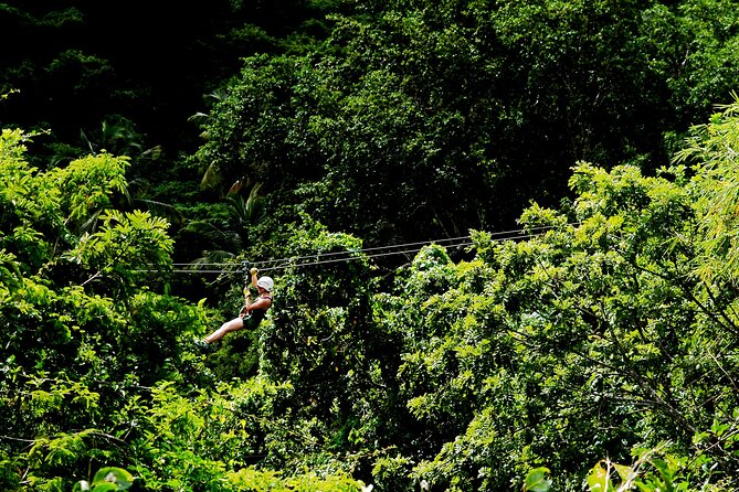 Antigua Zipline Canopy Adventure From St John'S - What to Expect on the Tour