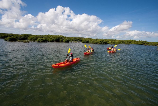 Antigua Zipline & Kayaking Combo From St. Johns - Health and Safety Guidelines