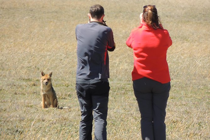 Antisana and Condors Watching Day Trip - Inclusions and Amenities