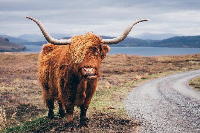 Applecross, Loch Carron & the Wild Highlands From Inverness - Traveler Experience