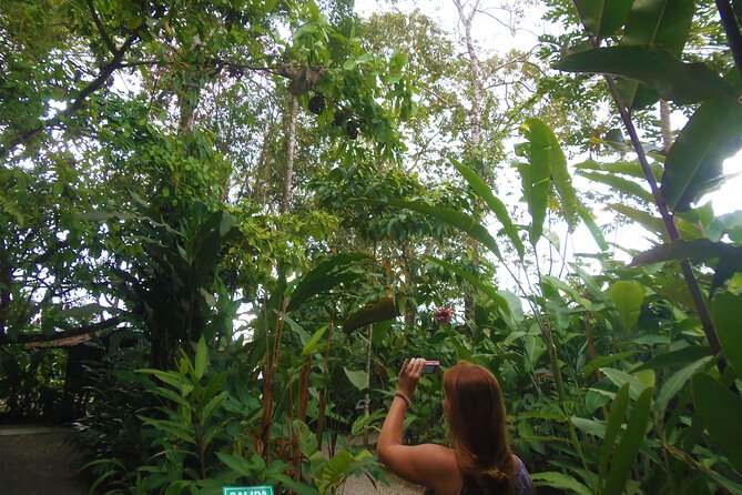 Arenal Butterfly Garden - Rainforest Guided Tour Ecocentro Danaus - Cancellation Policy Details