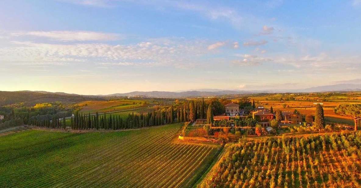 Arezzo: Val Di Chiana Wine Tasting Experience - Wine Selection and Pairing