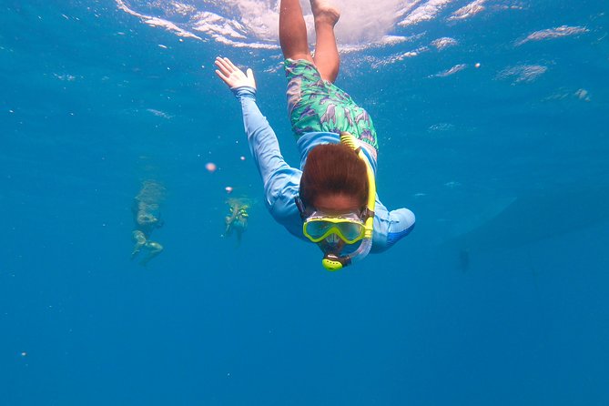 Aruba Element Private Boat Charter (After-Lounge) - Meeting and Pickup Locations