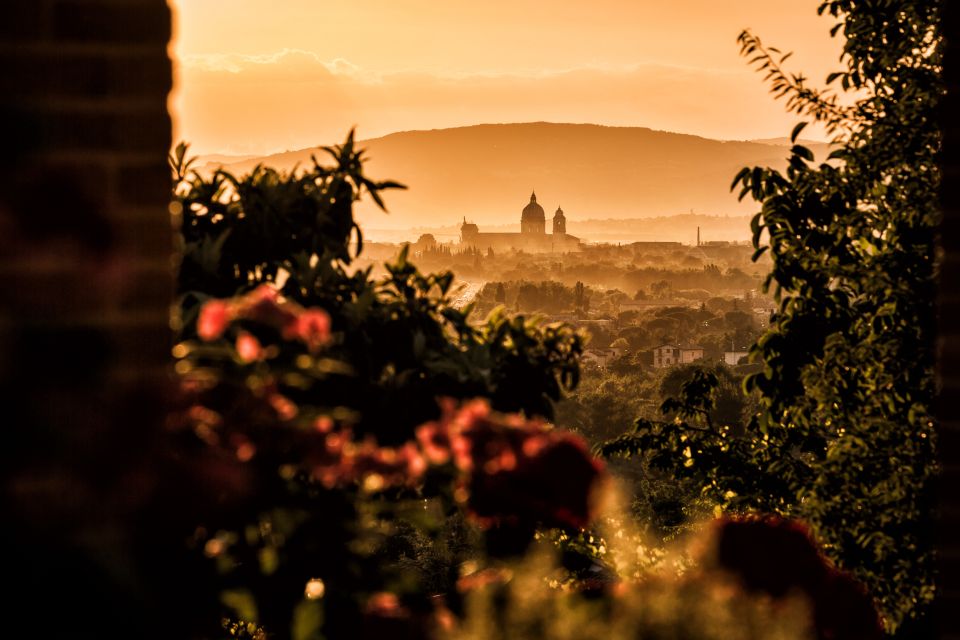 Assisi: Organic Balsamic Vinegar, Olive Oil & Wine Tour - Highlights and Tastings