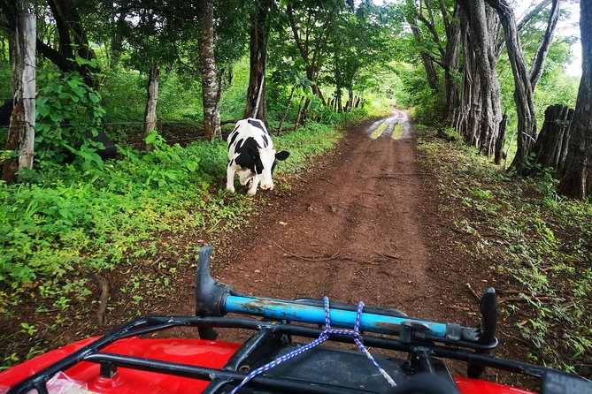 ATV Adventure From Riu, Secrets and Papagayo - Safety Guidelines