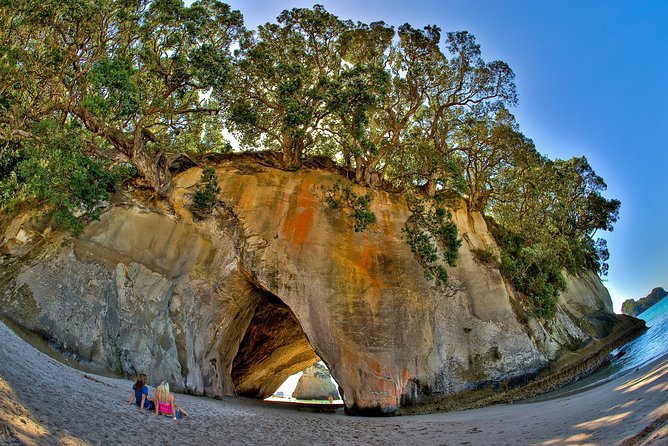 Auckland to Coromandel Private Tour - Booking Process
