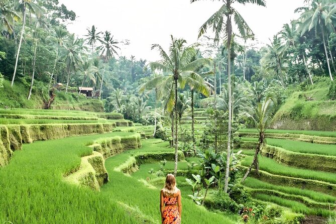 Bali Rafting With Tegalalang Rice Terrace Jungle Swing Ubud - Thrilling Jungle Swing Experience