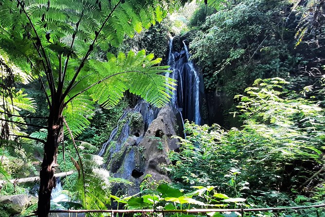 Bali Waterfall in One Day Tours, Kanto Lampo & Hidden Waterfall - Inclusions and Amenities