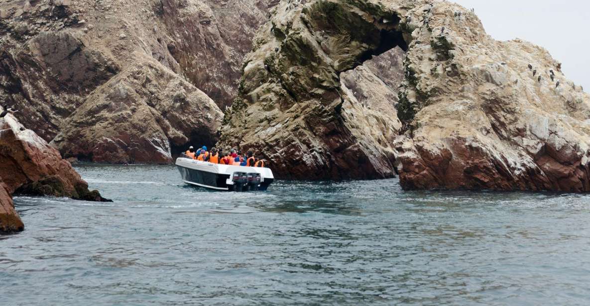 Ballestas Islands and Tambo Colorado From San Martin Port - Important Information