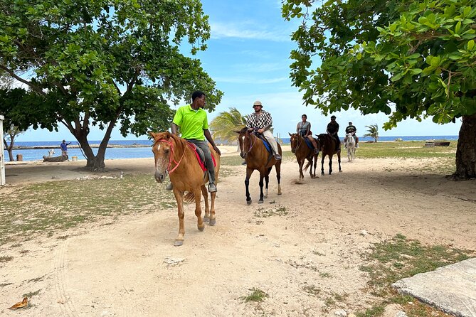 Bamboo Rafting & Horseback Ride N Swim Guided Tour in Montego Bay - Experience Highlights