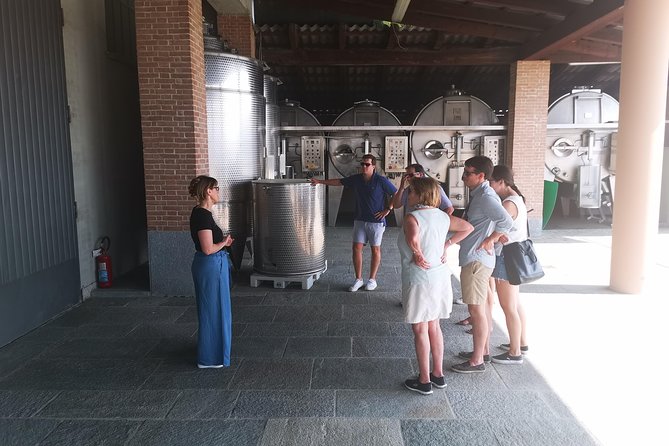 Barolo&Barbaresco Wine Tour With a Local Winemaker - Transportation and Comfort