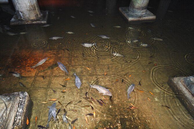 Basilica Cistern Skip-the-Line Guided Tour - Schedule and Accessibility