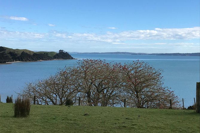 Beautiful Pohutukawa Coast - Half Day Private Tour - Inclusions and Amenities