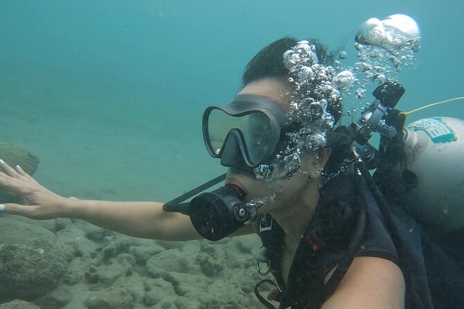 Beginner Scuba Diving Tour With Videos-Pcb - Equipment Provided