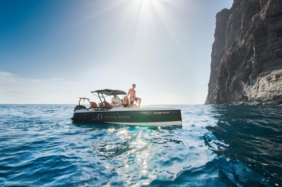 Best Boat Rental in Tenerife - Wildlife Spotting Opportunities