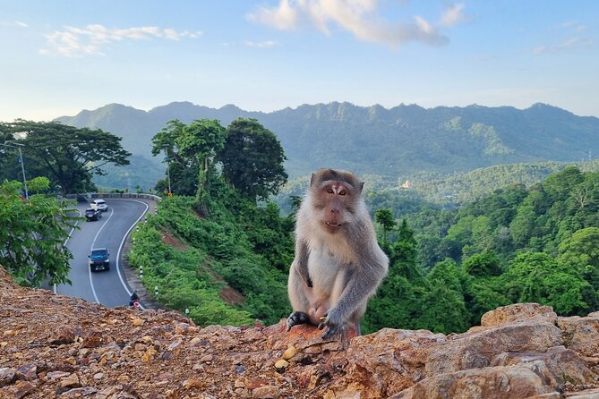 Best Lombok Rice Terrace Walking Tour With Waterfall & Monkey - Pickup and Transportation