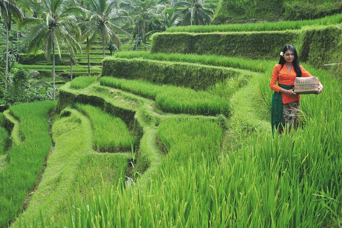 Best of Ubud Tour : Private Ubud Traditional Tours - Pickup Locations